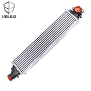 19710-5MS-H01 Intercooling Water Tank for Honda